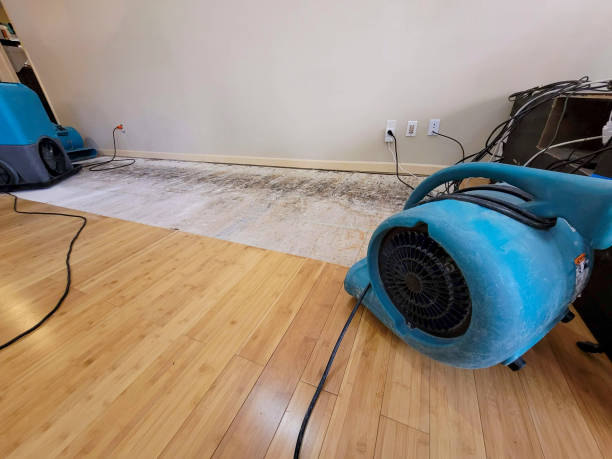 Professional Ceiling Water Damage Repair technician working in Mingo Junction, OH